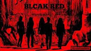 ماذا لو كنتي ايدول في فرقة بنات كورية ﴿جزء لأول ﴾🌼[BLACK RED]