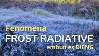 EMBUN ES ATAU BUN UPAS DIENG (FROST RADIATIVE)