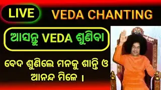 Live Veda Chanting  //Sri Rudram Chanting // @SaudaminiSahuSai72