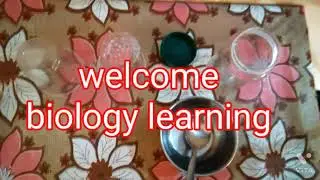 how to culture drosophila in home