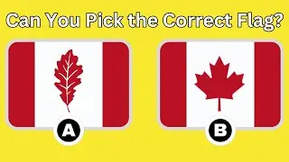 Only 3% Can Get a Perfect Score! Flag Quiz