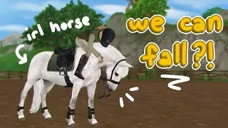New Connemara Ponies!!! | WE FALL NOW?! |