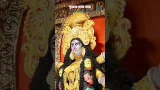 Kali Puja And Pujo Dhak | Kali Puja In Kolkata #KaliPuja #LearningAnt