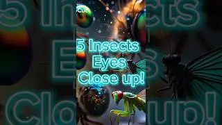 Macro insect 🐝 close-up shots that feel out of this world 👁️🐜#InsectEyes #MacroCloseUp #shortvideo