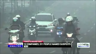 Authorities Name More Suspects in Forest and Ground Fires