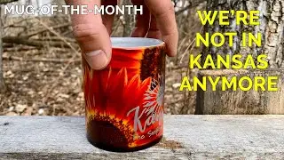 March 2020 Mugs of the Month - The Mug Experience by Ollee Bee