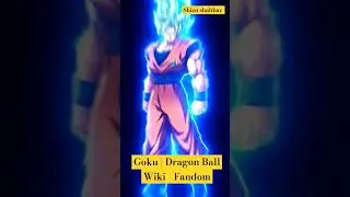 Goku | Dragon Ball Wiki - Fandom