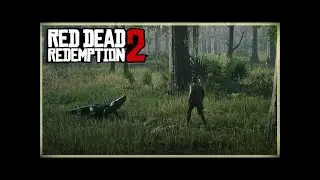 Red Dead Redemption 2 | How to get PERFECT 3 STAR Alligator Pelt