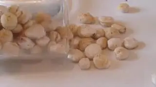 Friandises pour chat
