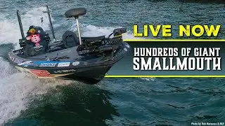 Pro Dropshot Bass Fishing Secrets (How to Catch Giant St. Lawrence & Champlain Smallmouth)
