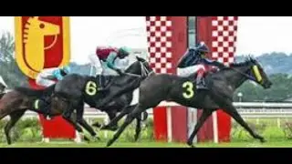 【SELANGOR】MALAYSIAN HORSE RACE ANALYSIS - CHECK OUT BEST OF THE DAY TOO!!