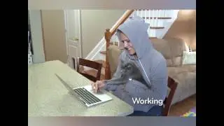 New Pet Kangaroo Hoodies That Allow You To Comfortably Carry Your Pet Wherever You Go!