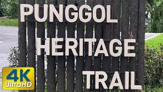 Punggol Heritage Trail 🌿 Opened 23 Aug 2025 🚶&zwj;♂️New Walking Trail in Punggol | SingaporeIsland