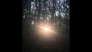 povestea_celor_6_steluta_de_Hrab