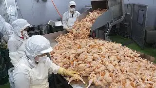 Modern Food Processing Machines Operating At An Insane Level