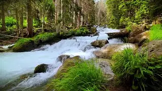 Fast Turquoise Mountain River: Energetic White Noise for Sleep, Study & ASMR (No Music)