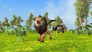 Cute Animals Rhino,Raptor,Ostrich,Buffalo#animals