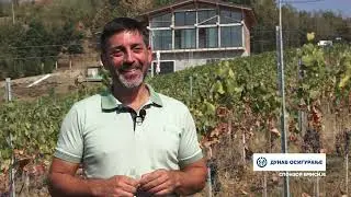 Naša priča ep. 474 26.09.2024. Braća Tomić, Rošci, Čačak, prokupac i tamjanika, autohtone sorte loze