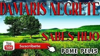 DAMARIS NEGRETE SABES HIJO CON LETRAS