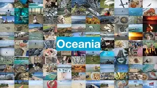 I've visited all 14 countries of Oceania. Here are the unexpected and amazing things to do here.