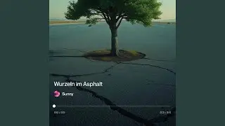 Wurzeln im Asphalt
