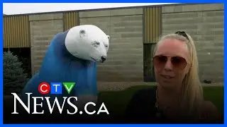 Bringing the Bears on Broadway back to life