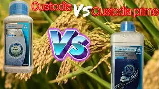 Custodia VS Custodia prime की all details// पूरी जानकारी// Azoxytrobin+tebuconazole 