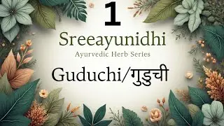 गिलोय/गुडुची/अमृता।।#ayurveda #bams #plants  #health#natural#herbs #selfcare #wellness #ncism 