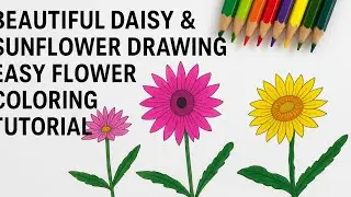 &ldquo;Beautiful Daisy & Sunflower Drawing | Easy Flower Coloring Tutorial&rdquo;