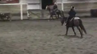 The Team Penning Goddesses