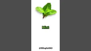DIFFERENT KINDS OF HERBS🍀🌱 #english #learnenglish #vocabulary