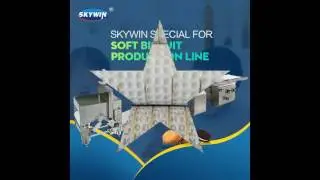 What about the skywin company?