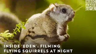 Inside &lsquo;Eden&rsquo;: Filming Flying Squirrels at Night 🐿️ Saturdays at 8PM | BBC America & AMC