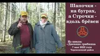 Шапочки  - на буграх,  а Строчки - вдоль брёвен. 