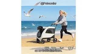 Large Dog Stroller Review: Is It Worth the Investment for Big Pets and All-Terrain Use?