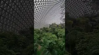 Geoje Botanical Garden Jungle Dome | Adventures in South Korea