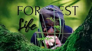 Wild life teaser || Wildlife - official teaser  || 🌿 Wildlife - Official Teaser 🐾