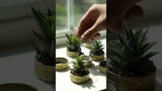 Tiny Succulent Planter DIY Hack