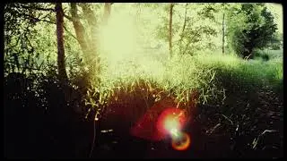 Stranded Mermaid - Dust In The Badlands (Official Lyric Video)