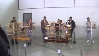 TORNEIO   DE BICO DE FOGO