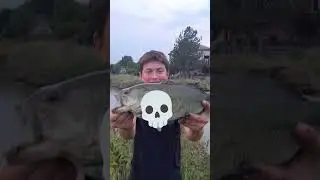 #fishing #fishing #bass fishing hashtags carp fishing #respect for carp