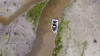 The Dead Forrest Mary River Northern Territory