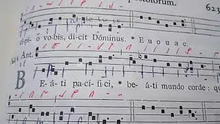 Beati pacifici