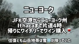 ニューヨークJFK空港からIthaca NYまで移動した 道中ワイナリーでワイン購入🍷
