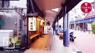 Japan | Walking in 