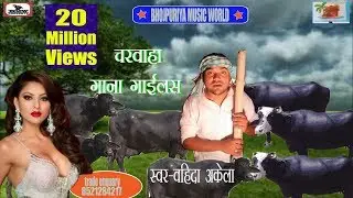 भैंसों का चारवाहा बना गायक - Bhainso ka charwah bana singer - City Hut Production House