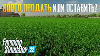 Farming Simulator 22 - СОБИРАЕМ СОРГО И МНОГО ДУМАЕМ #13 (прохождение 2023)