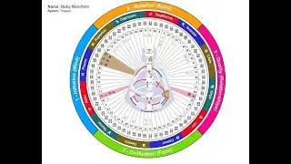 'How To' Guide to setting up your Human Design Chart (Genetic Matrix)