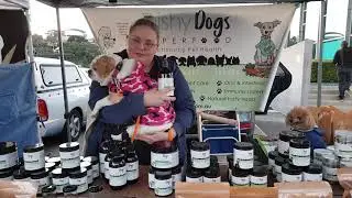 Omega Pet & Probiotic | Best Supplements for Improved Gut Health in your Dog