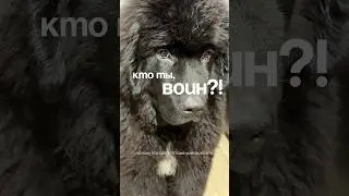 Смотри в портфолио, а не название 👀🤔